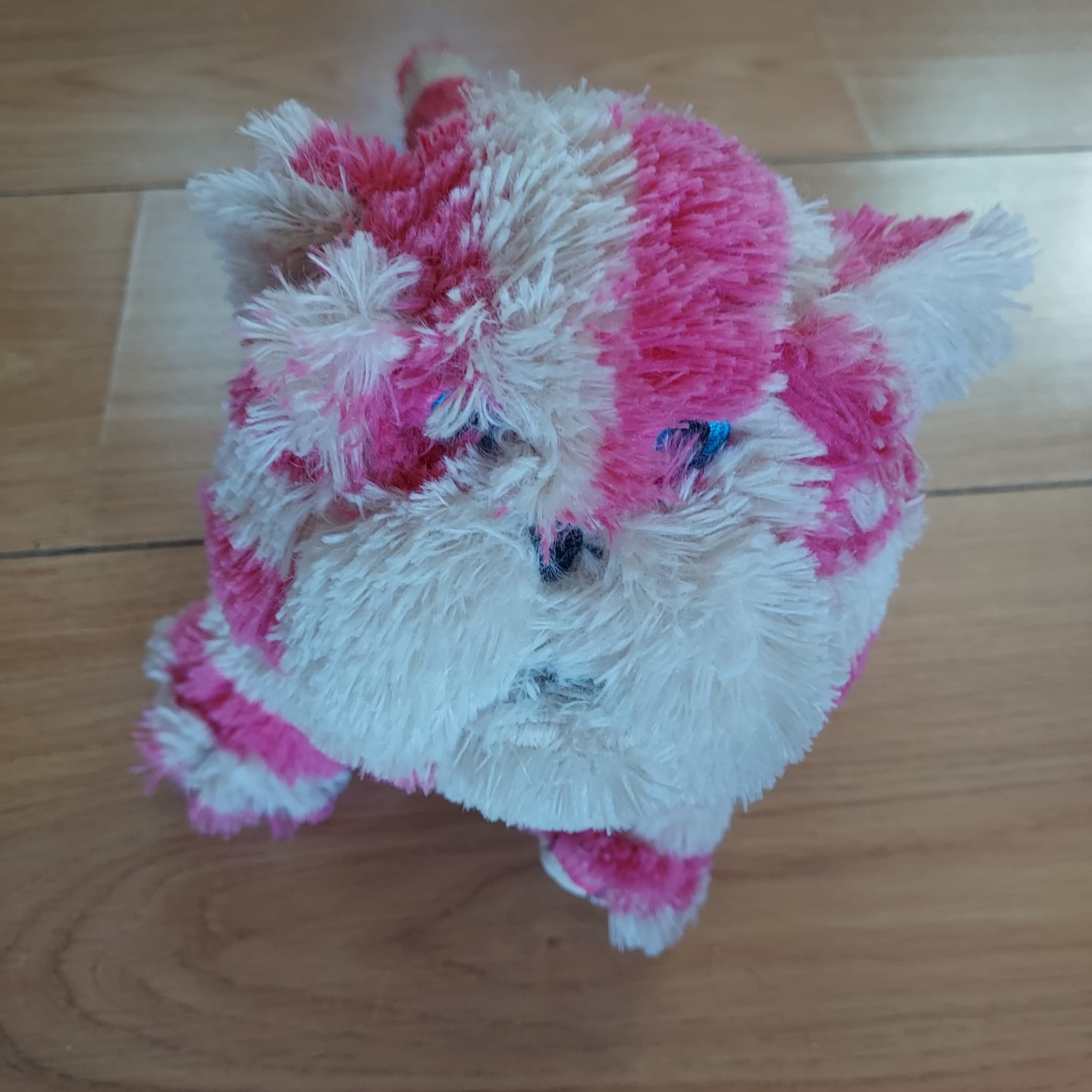 This lil fella